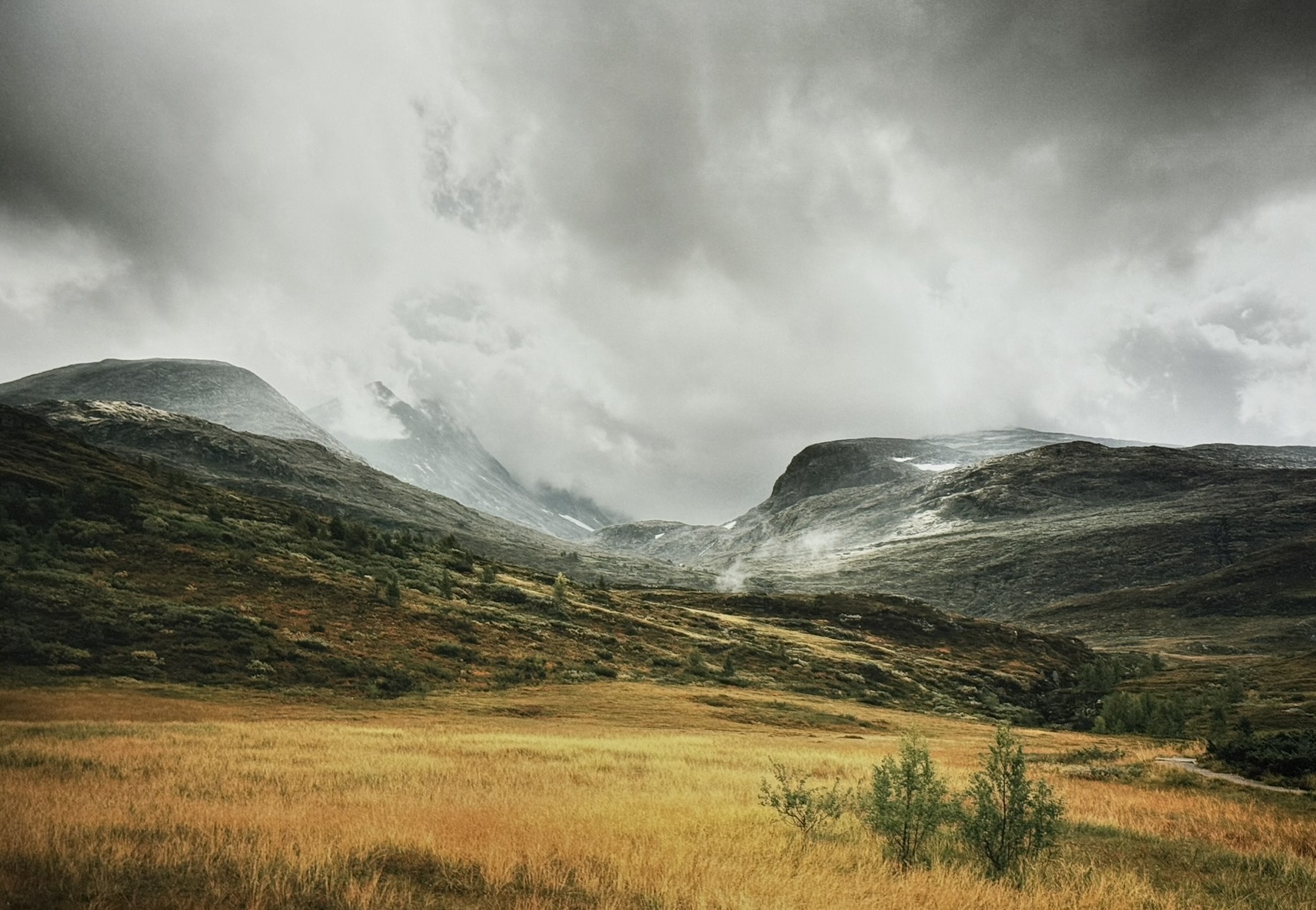 Kunst trifft Steuer XXXVII – Rainer Wengel - Nordic Landscapes