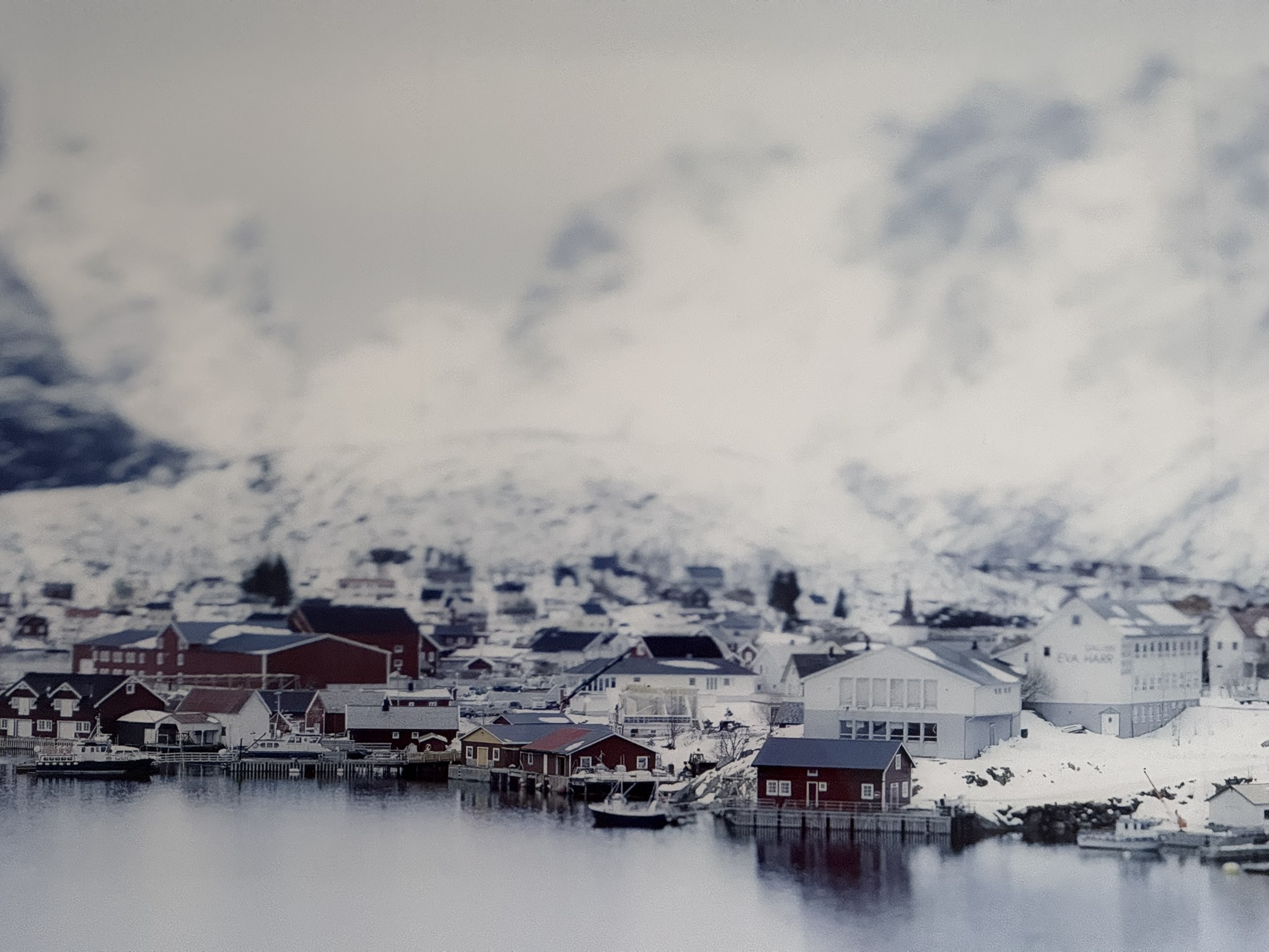 Kunst trifft Steuer XXXVII – Rainer Wengel - Nordic Landscapes